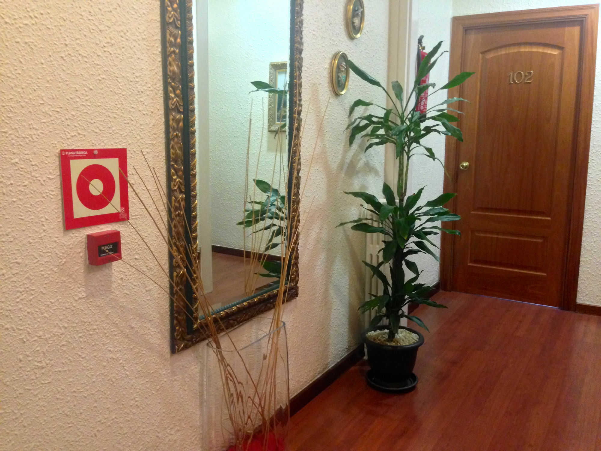 Pelayo Hotel *